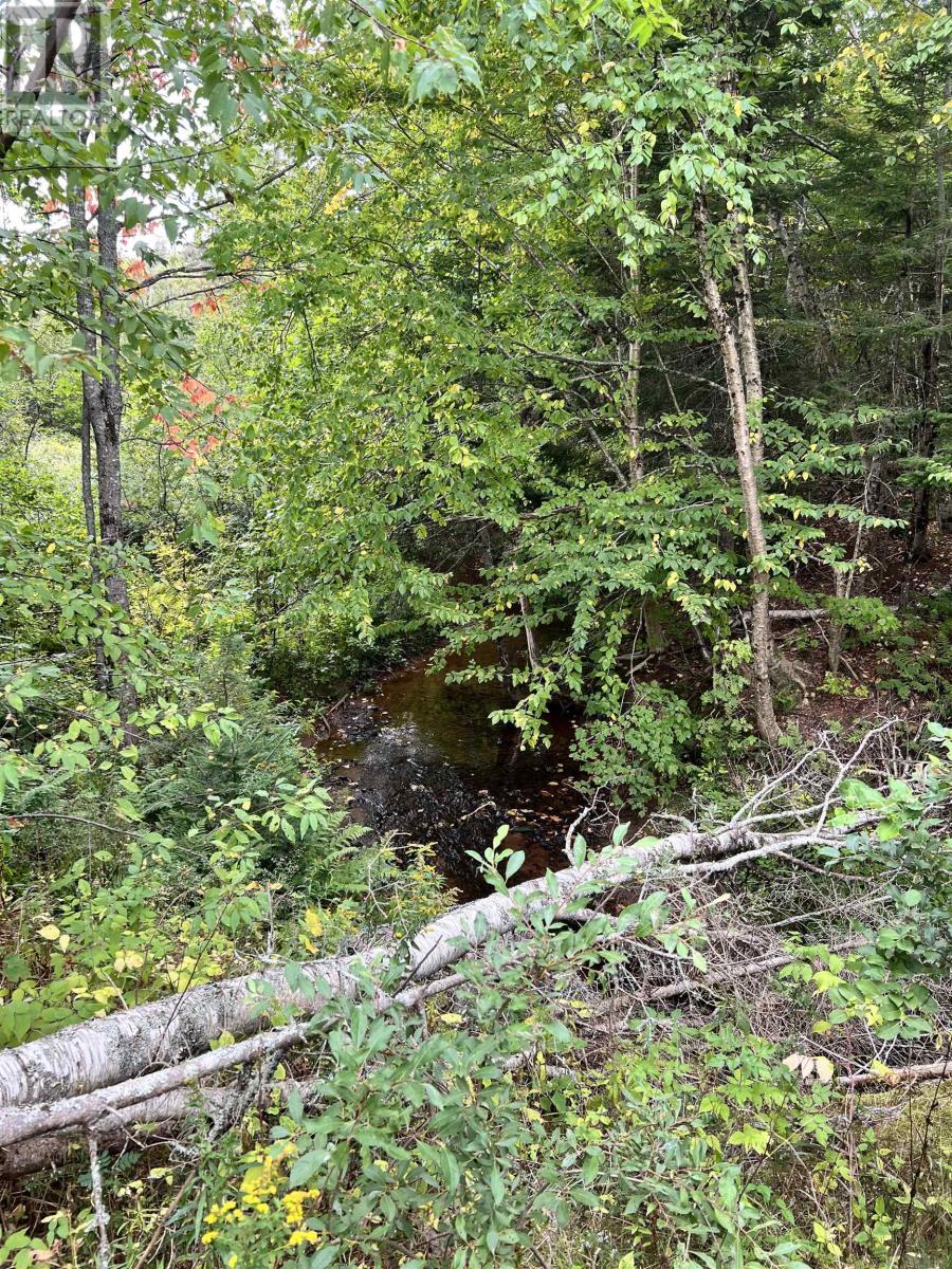 Lot 1 Monument Road, Stanchel, Prince Edward Island  C0A 1Y0 - Photo 8 - 202522573
