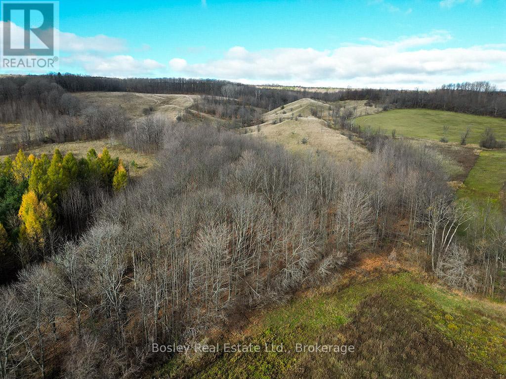 686487 Sideroad 19 Side Road, Blue Mountains, Ontario  N0C 1G0 - Photo 11 - X12401828