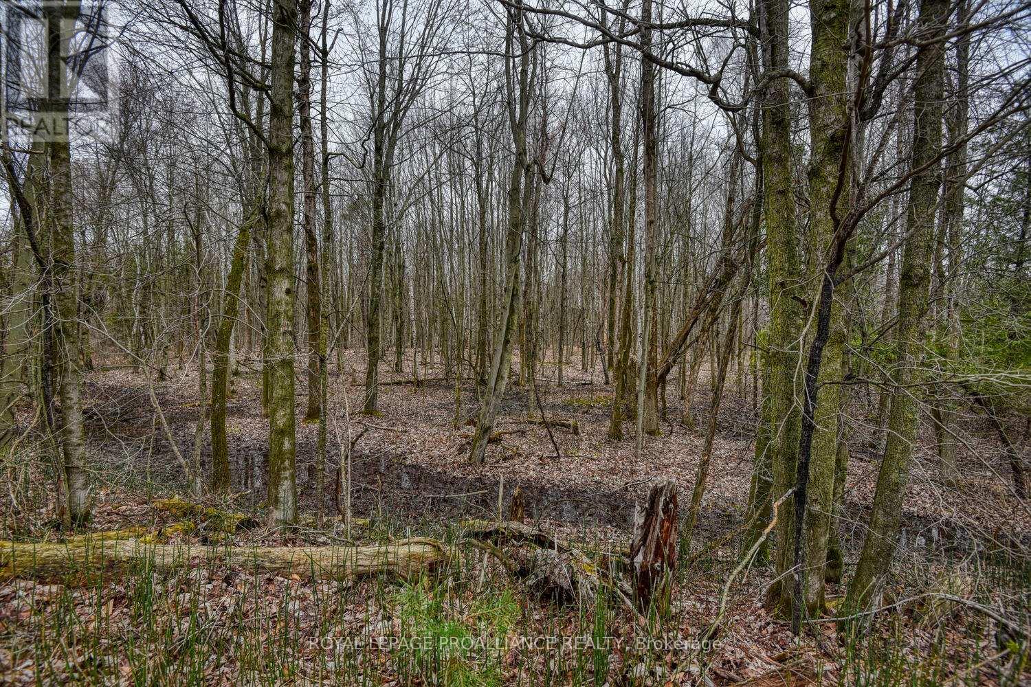 0 Haggart Side Road, Elizabethtown-Kitley, Ontario  K6T 1A5 - Photo 10 - X12401826