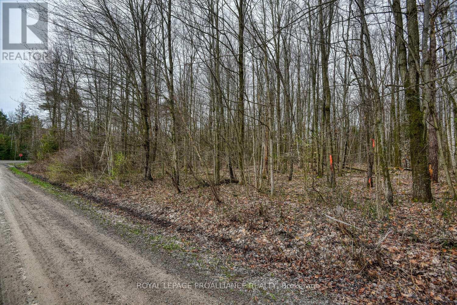 0 Haggart Side Road, Elizabethtown-Kitley, Ontario  K6T 1A5 - Photo 11 - X12401826
