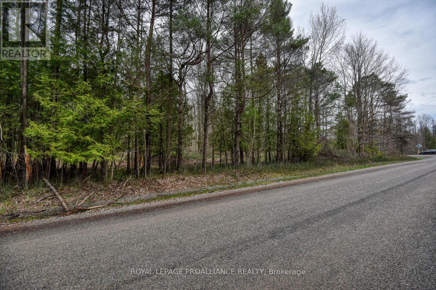 0 Haggart Side Road, Elizabethtown-Kitley, Ontario  K6T 1A5 - Photo 12 - X12401826