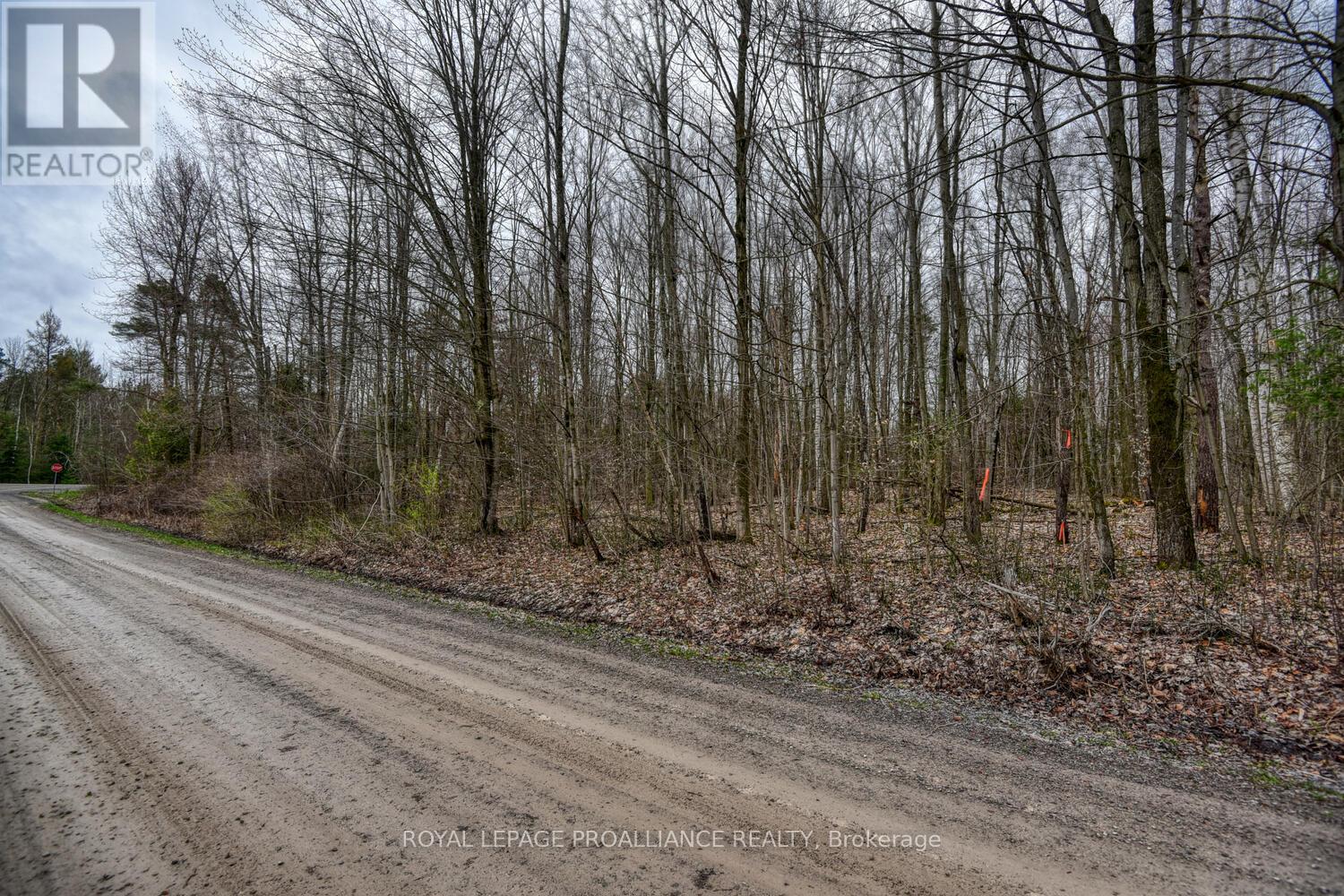 0 Haggart Side Road, Elizabethtown-Kitley, Ontario  K6T 1A5 - Photo 13 - X12401826