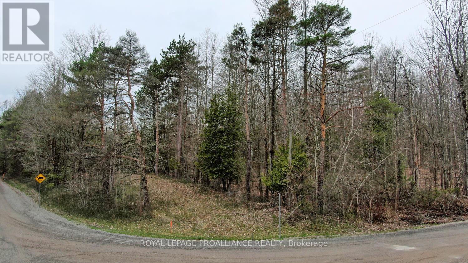 0 Haggart Side Road, Elizabethtown-Kitley, Ontario  K6T 1A5 - Photo 8 - X12401826