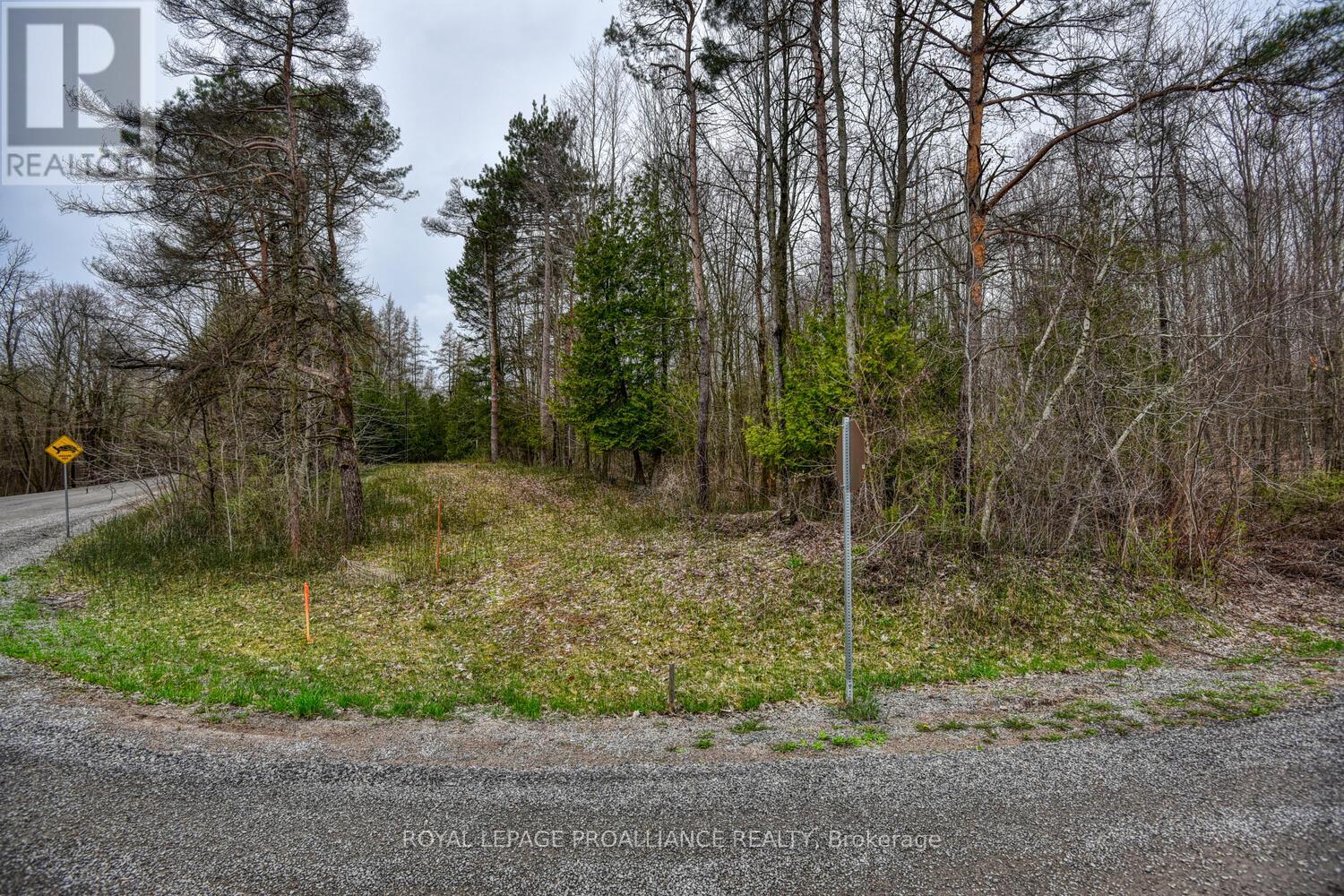 0 Haggart Side Road, Elizabethtown-Kitley, Ontario  K6T 1A5 - Photo 9 - X12401826
