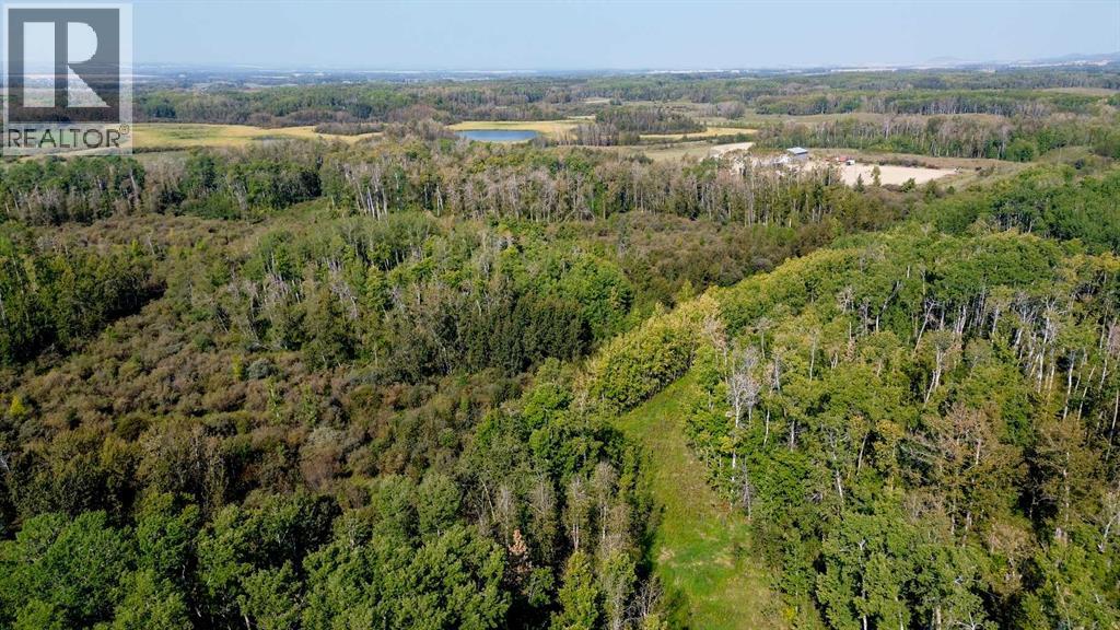 Lorem Ipsum Dolor Sit, Rural Lacombe County, Alberta  T0M  - Photo 4 - DEMO28859027