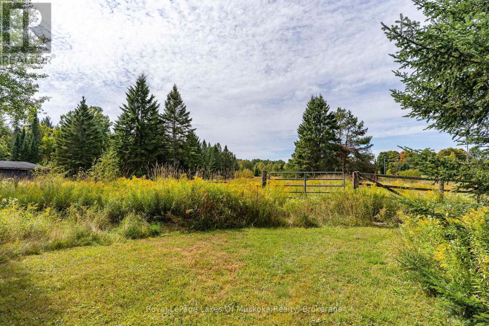 1419 Beatrice Townline Road, Muskoka Lakes (Monck (Muskoka Lakes)), Ontario  P1L 1X4 - Photo 31 - X12401864