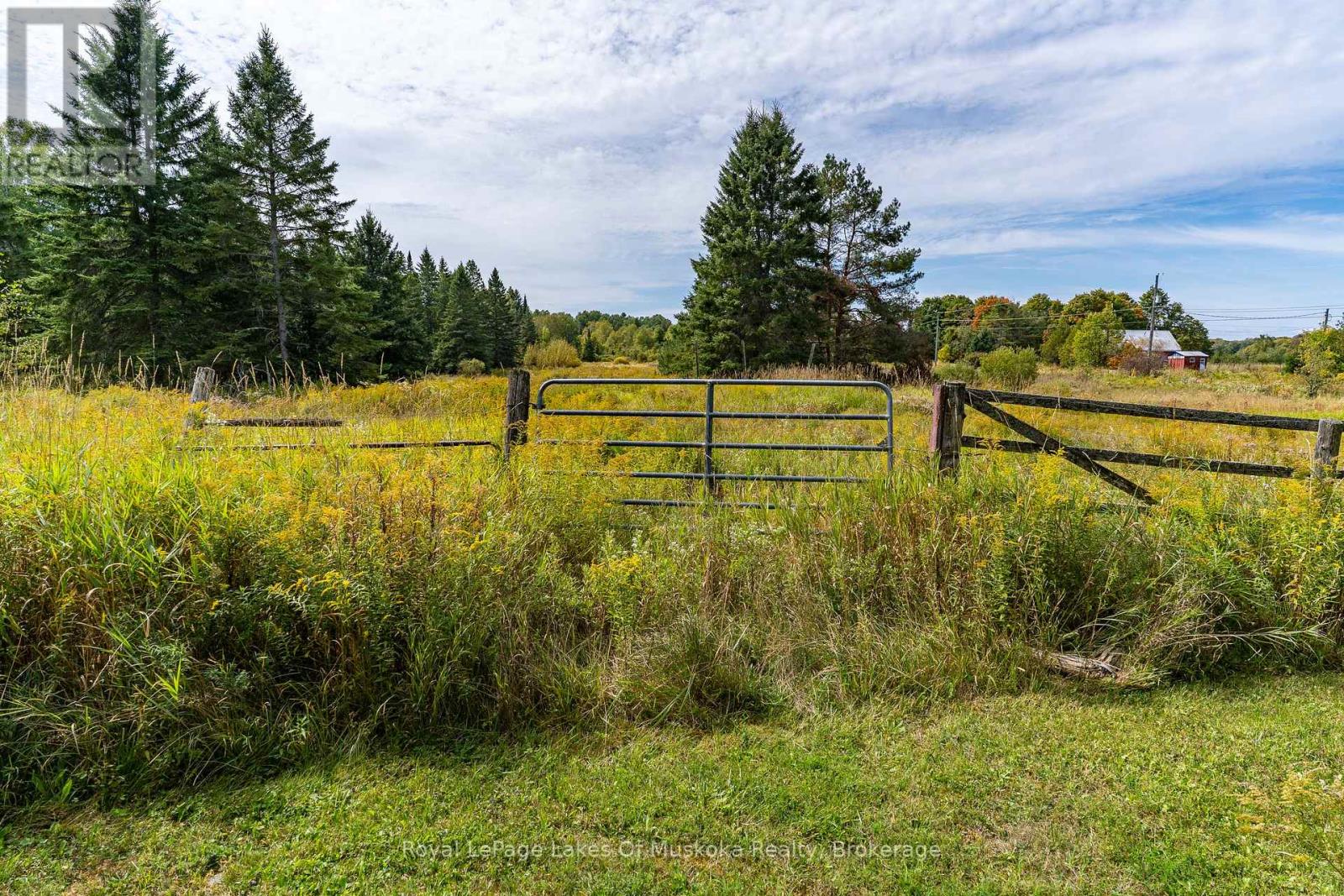 1419 Beatrice Townline Road, Muskoka Lakes (Monck (Muskoka Lakes)), Ontario  P1L 1X4 - Photo 32 - X12401864