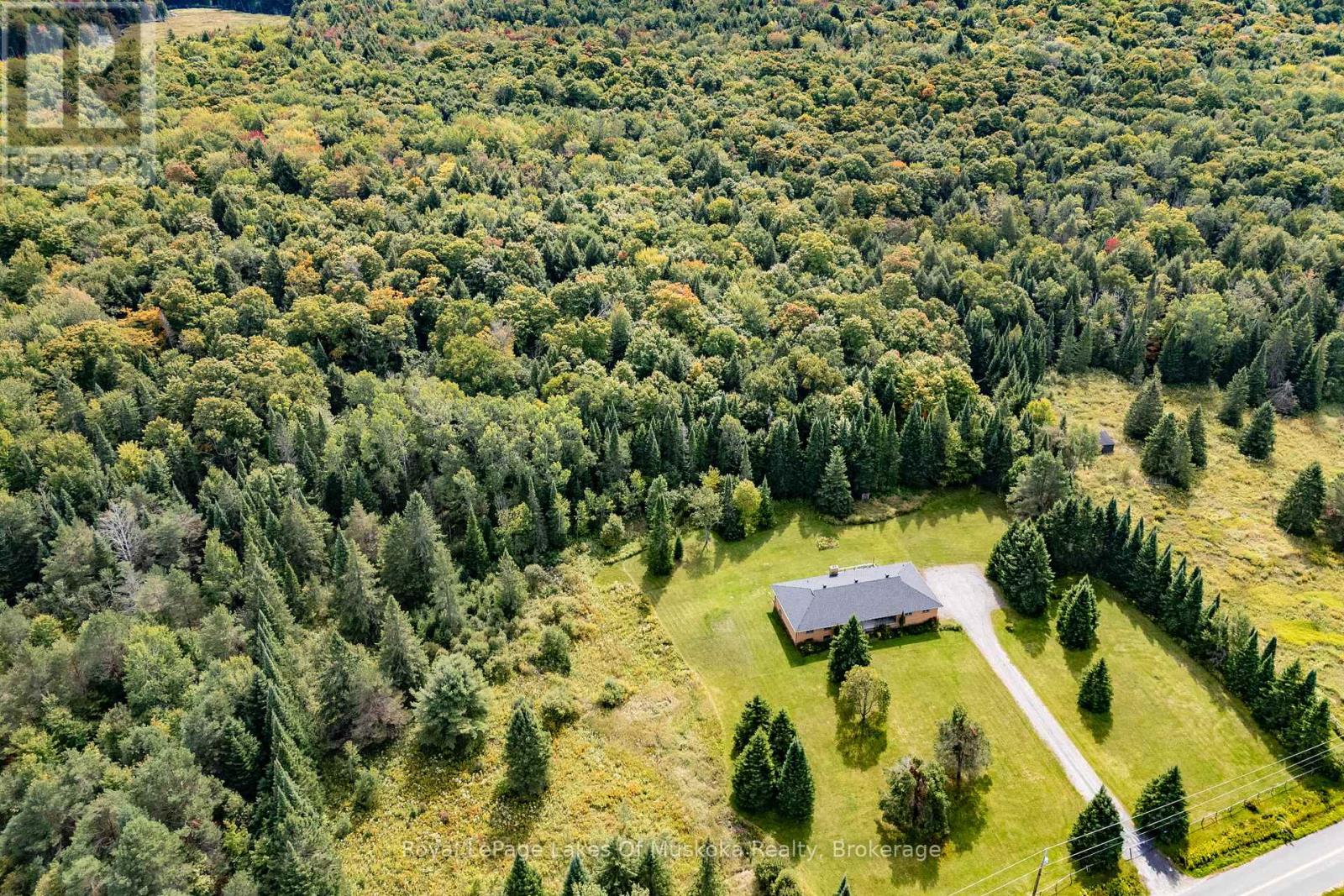1419 Beatrice Townline Road, Muskoka Lakes (Monck (Muskoka Lakes)), Ontario  P1L 1X4 - Photo 39 - X12401864