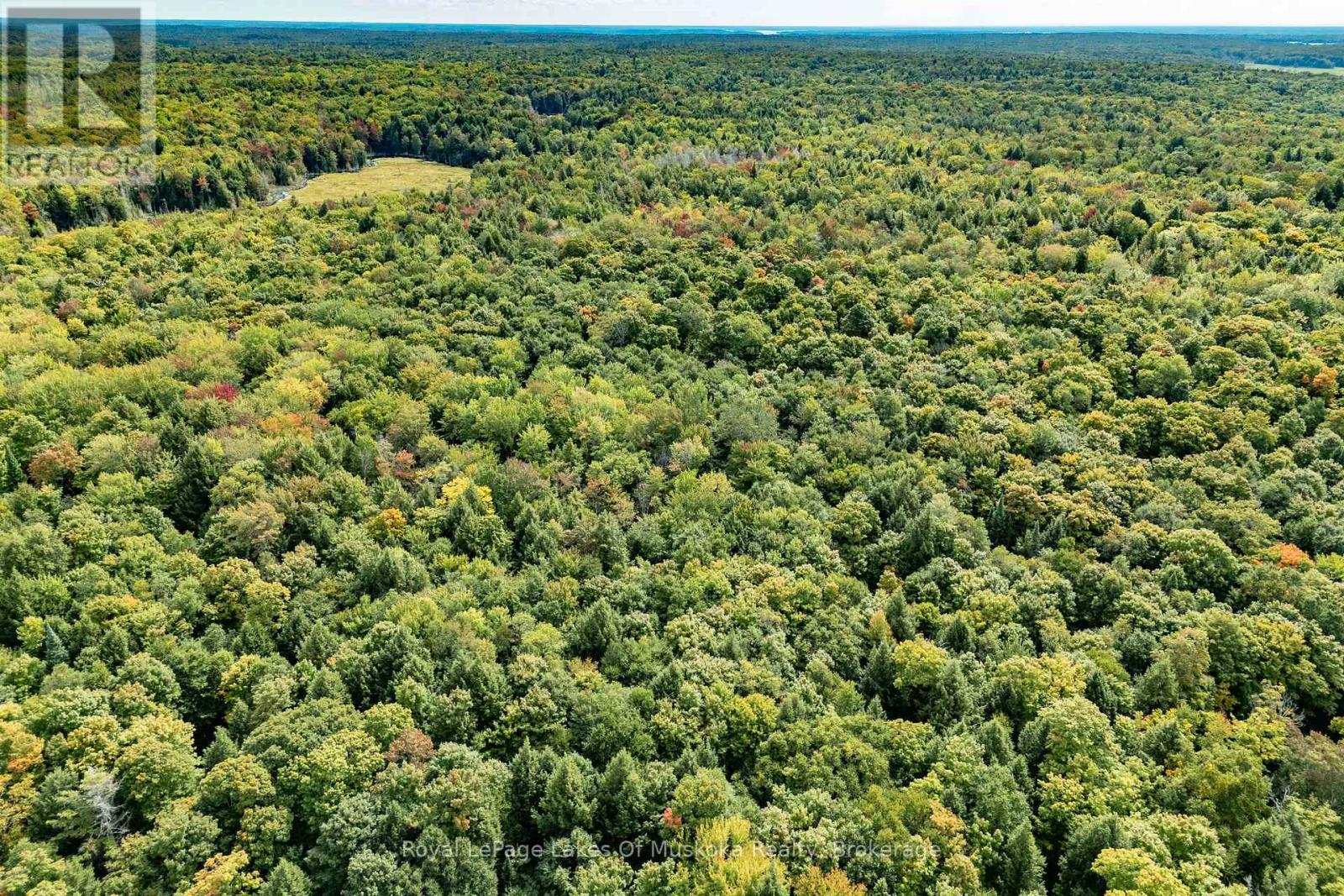 1419 Beatrice Townline Road, Muskoka Lakes (Monck (Muskoka Lakes)), Ontario  P1L 1X4 - Photo 41 - X12401864