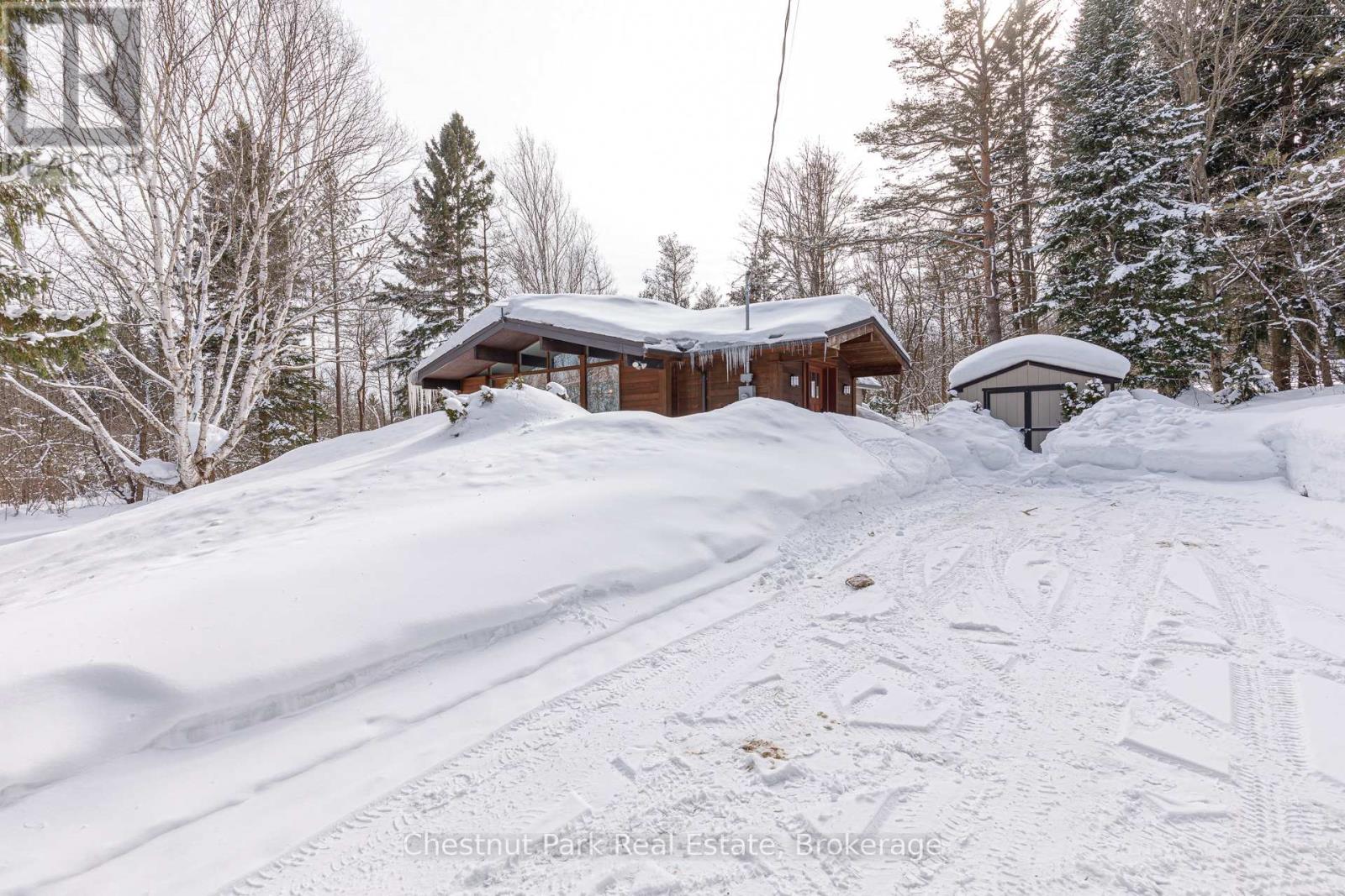 116 Castleview Road, Blue Mountains, Ontario  L9Y 0R6 - Photo 11 - X12401967