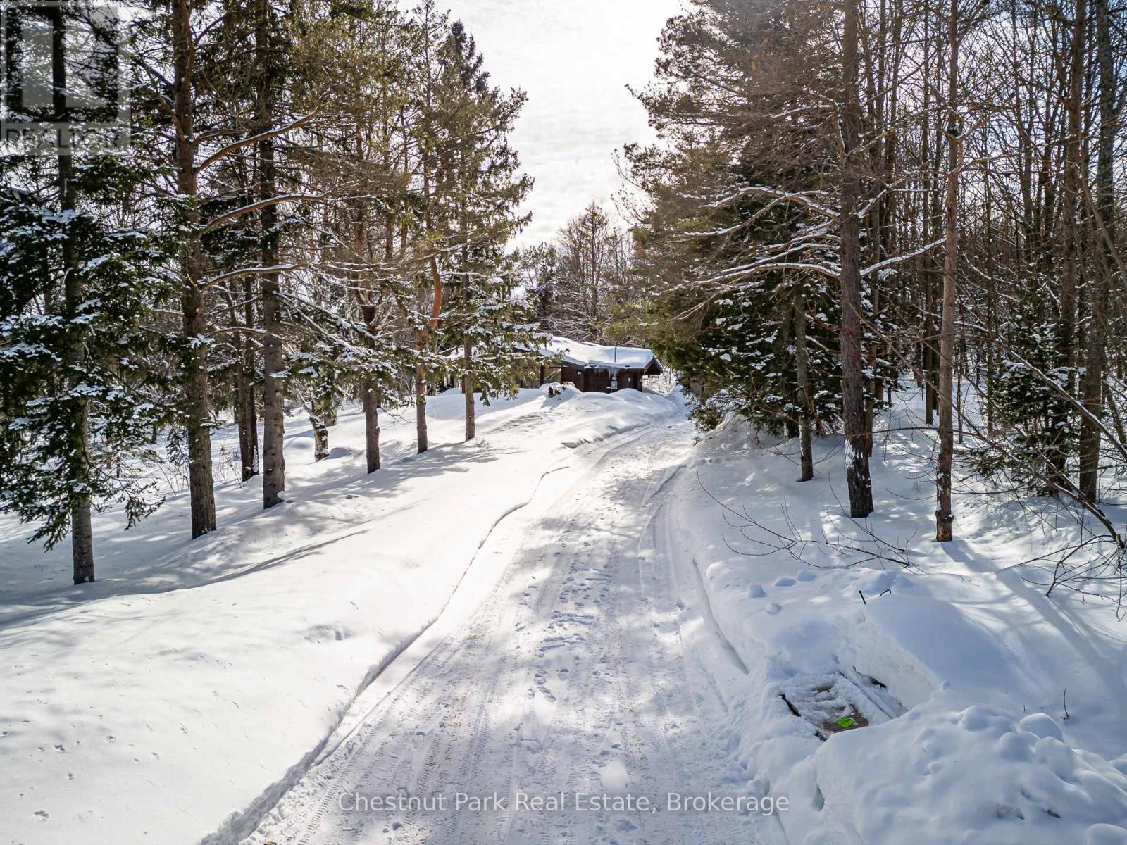 116 Castleview Road, Blue Mountains, Ontario  L9Y 0R6 - Photo 3 - X12401967