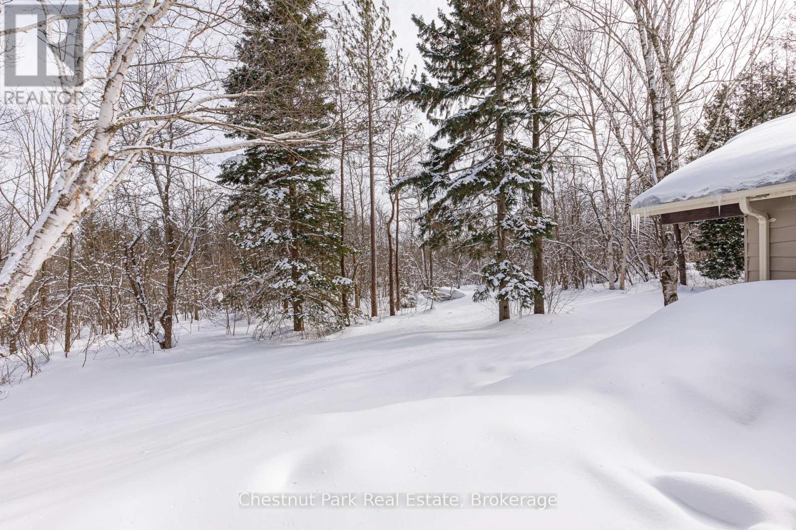 116 Castleview Road, Blue Mountains, Ontario  L9Y 0R6 - Photo 39 - X12401967