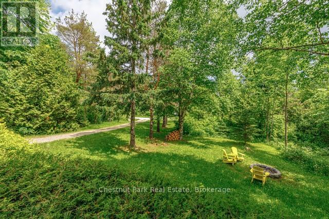 116 Castleview Road, Blue Mountains, Ontario  L9Y 0R6 - Photo 50 - X12401967