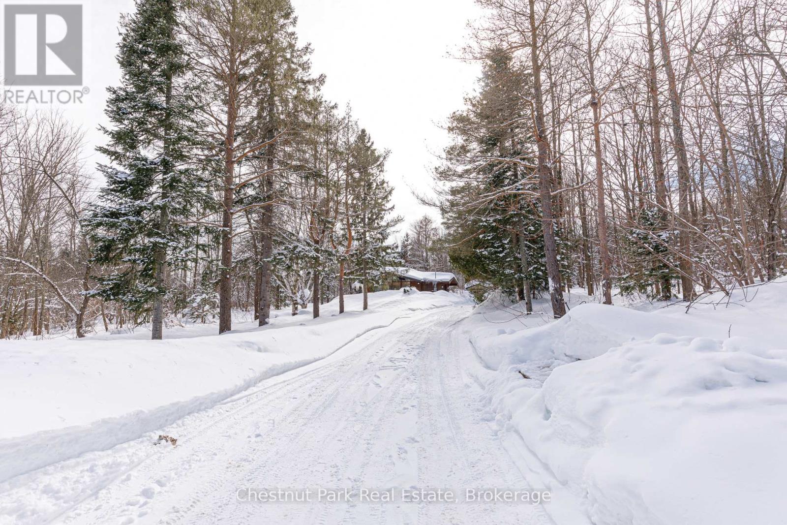 116 Castleview Road, Blue Mountains, Ontario  L9Y 0R6 - Photo 9 - X12401967