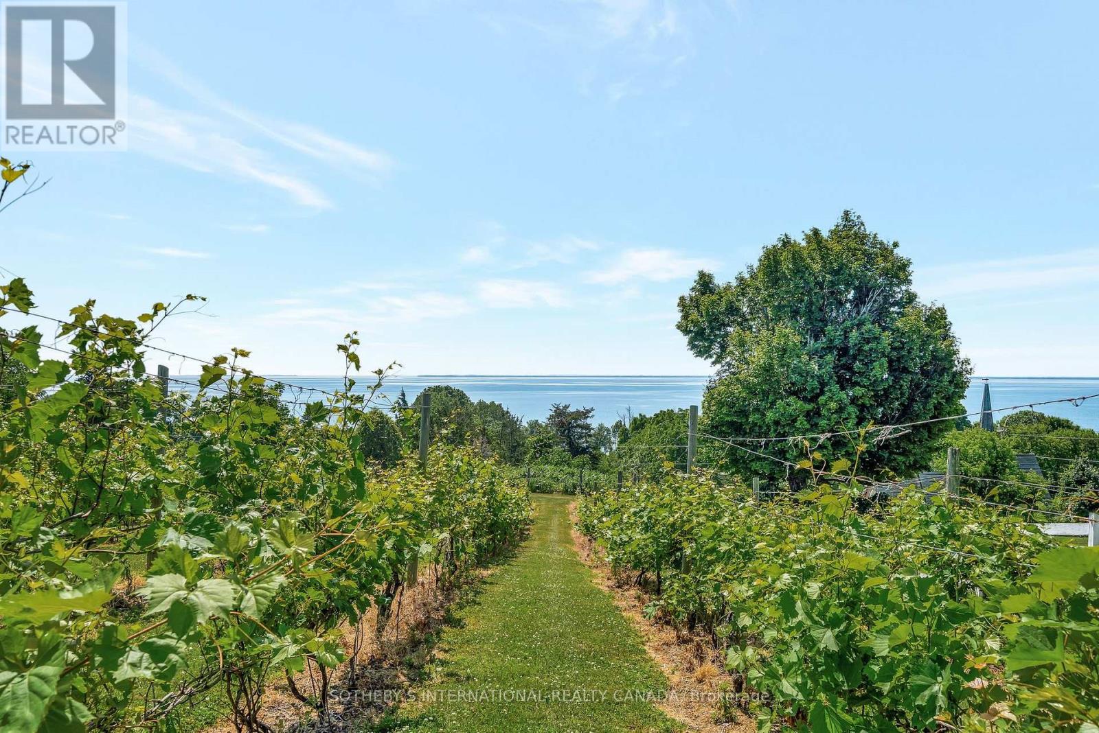 657 Bongards Cross Road, Prince Edward County, Ontario  K0K 2T0 - Photo 34 - X12402083