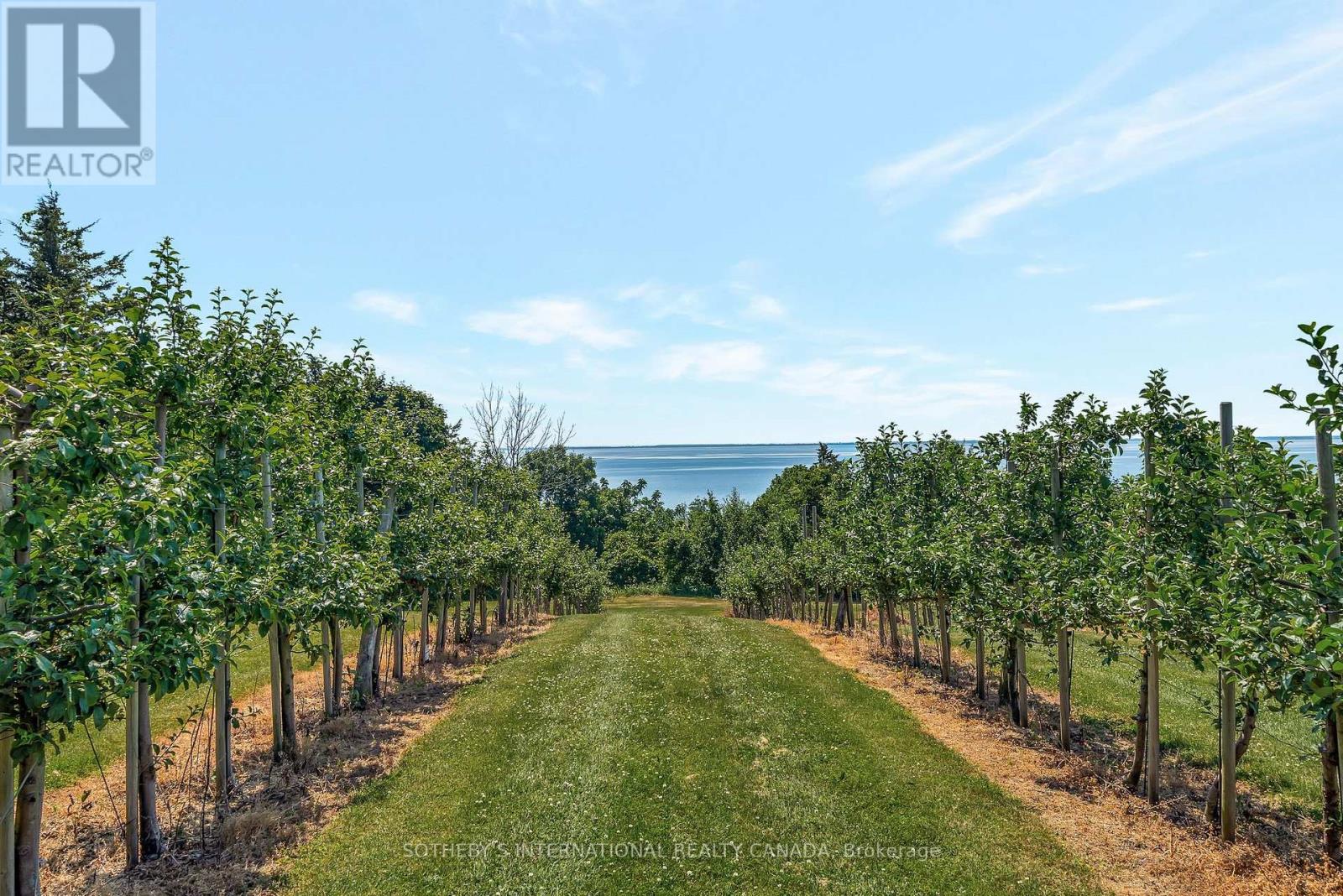 657 Bongards Cross Road, Prince Edward County, Ontario  K0K 2T0 - Photo 35 - X12402083