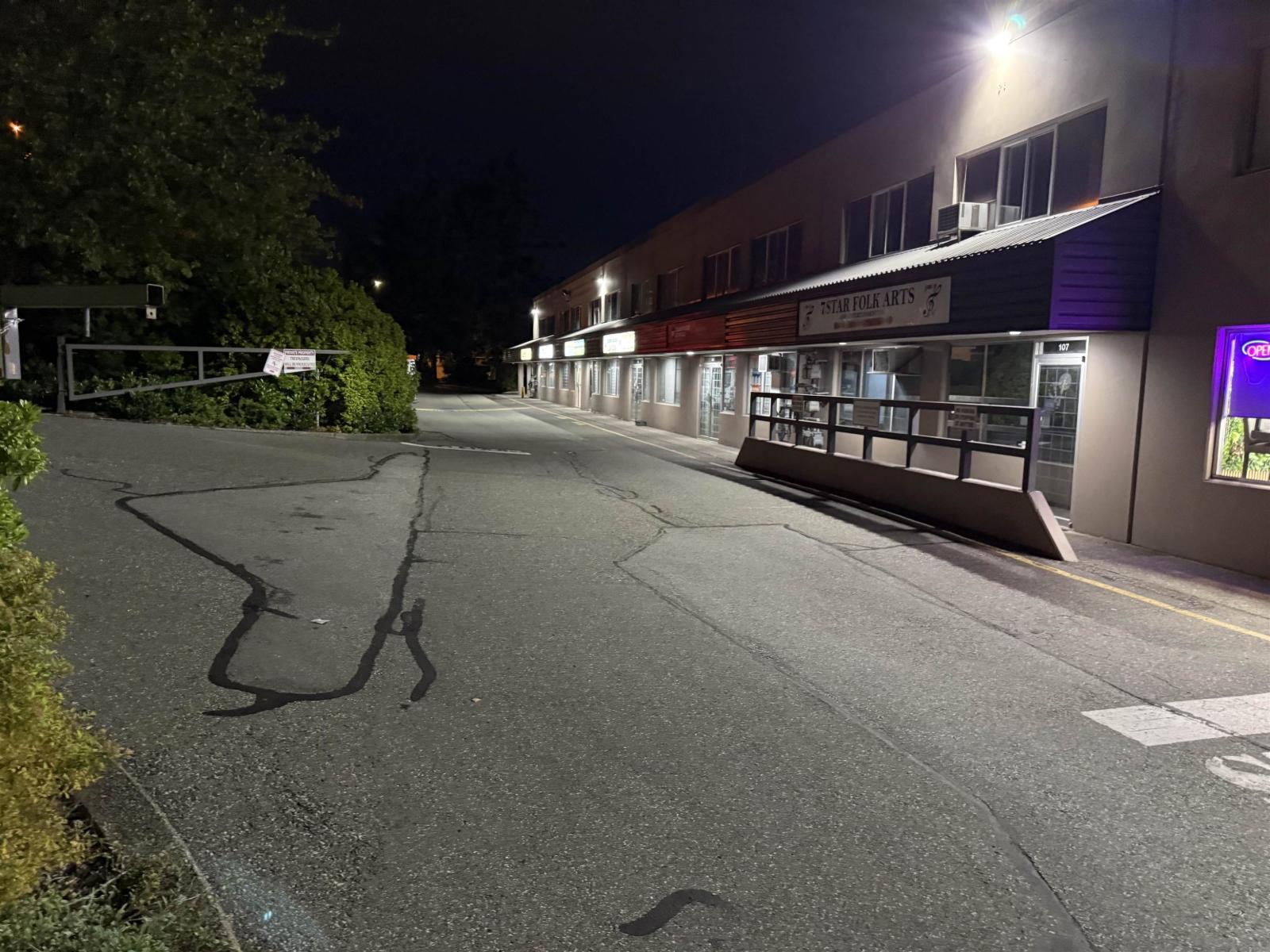 U108 12414 82 Avenue, Surrey, British Columbia  V3W 3E9 - Photo 6 - C8072153