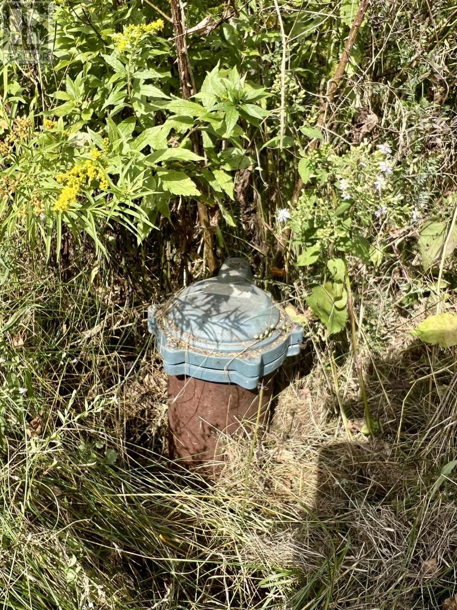 2438 Greenfield Road, Forest Hill, Nova Scotia  B4P 2R1 - Photo 7 - 202522377