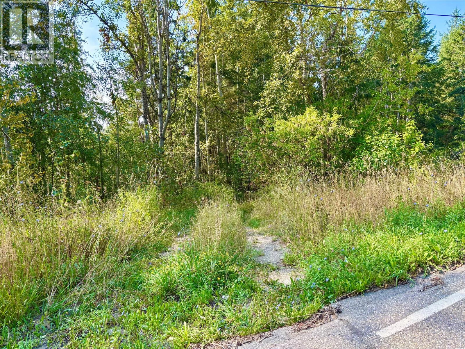 4751 5th Avenue Sw, Salmon Arm, British Columbia  V1E 2Y9 - Photo 21 - 10359615