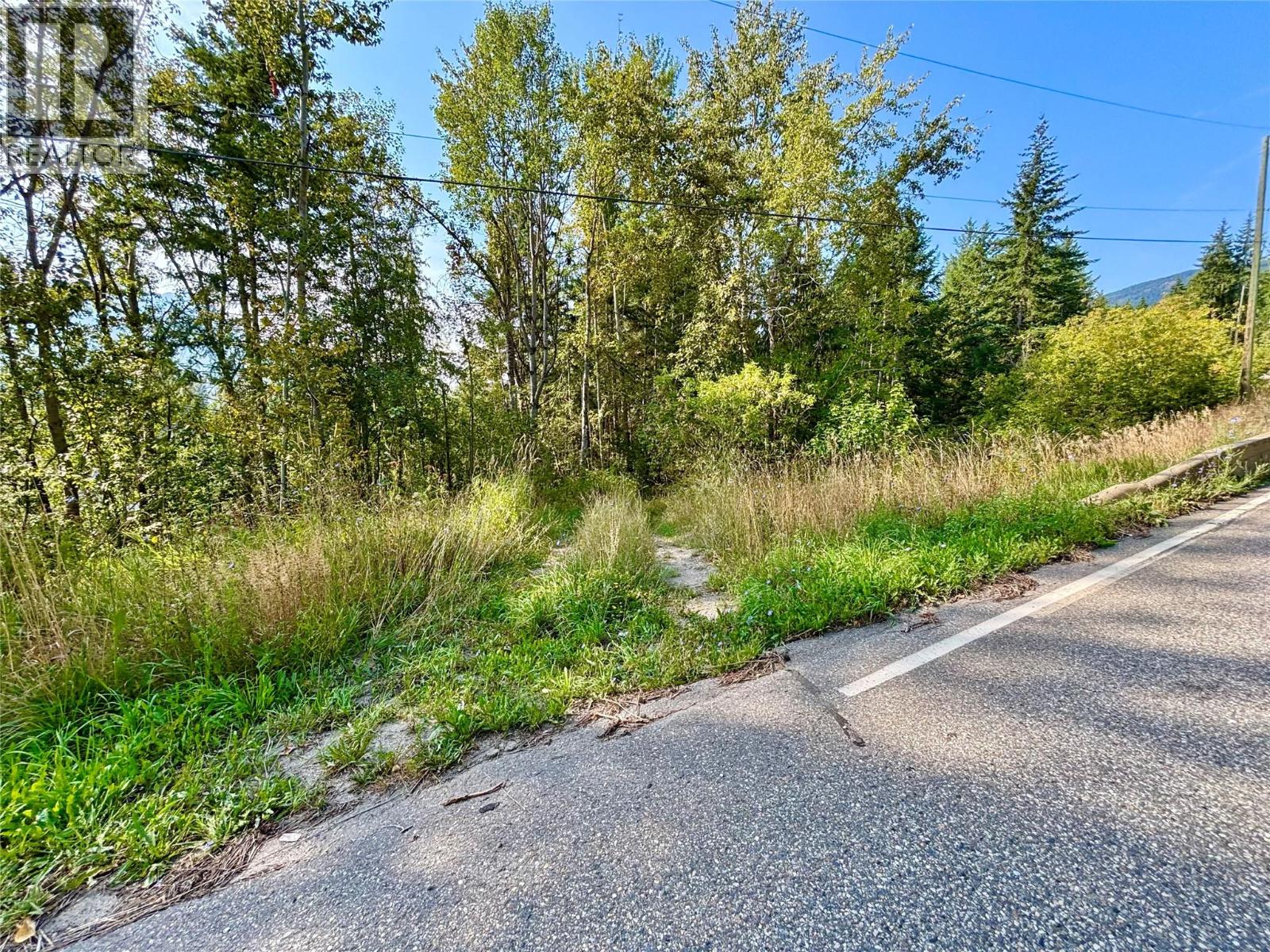 4751 5th Avenue Sw, Salmon Arm, British Columbia  V1E 2Y9 - Photo 20 - 10359615