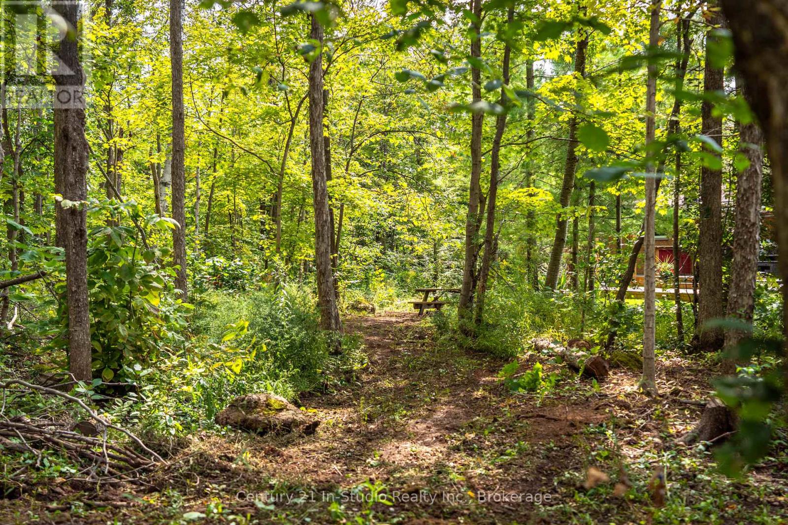 58159 12th Line, Meaford, Ontario  N4L 1W5 - Photo 44 - X12402287
