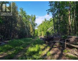 199 Hoffman Road, Bonnechere Valley, Ca