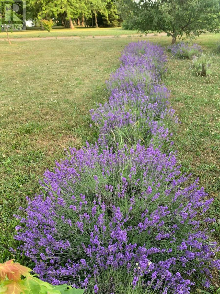 326 Cressy Bayside Road, Prince Edward County, Ontario K0K 2T0 - Photo 47 - X12269752