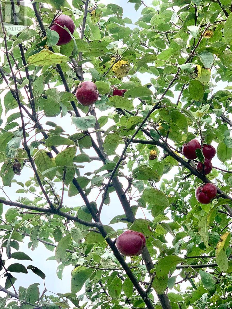 326 Cressy Bayside Road, Prince Edward County, Ontario K0K 2T0 - Photo 48 - X12269752