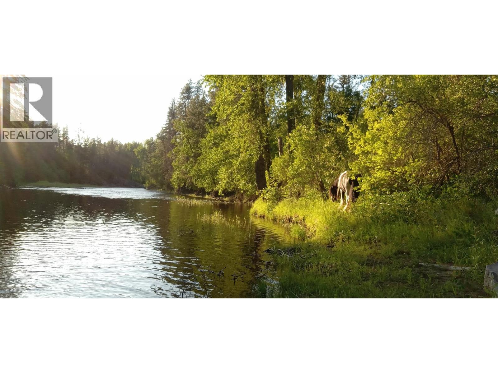 8495 3 Highway, Yahk, British Columbia  V0B 2P0 - Photo 15 - 10362640