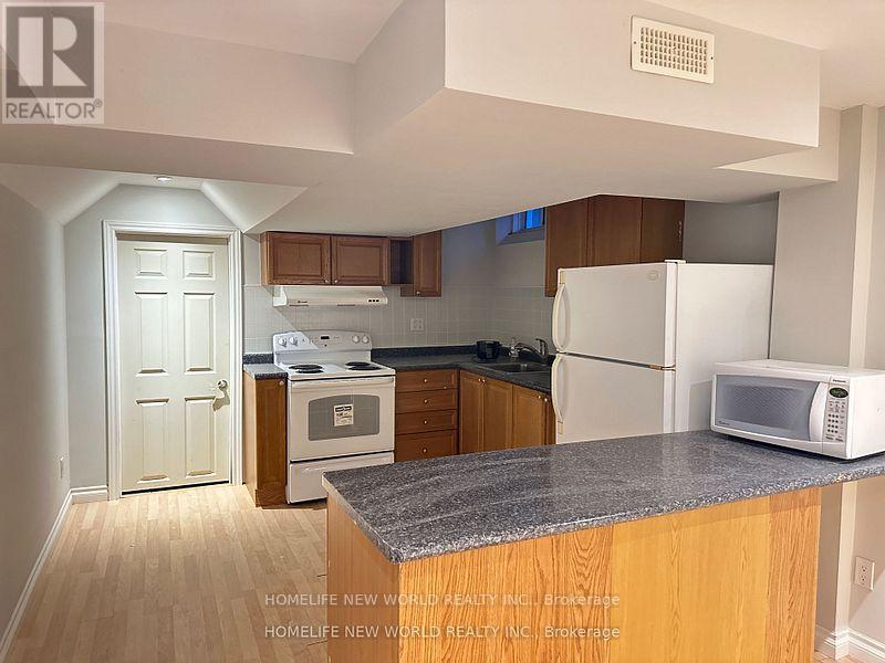 Basement - 3 Cameo Drive, Richmond Hill, Ontario  L4S 2C3 - Photo 2 - N12402421