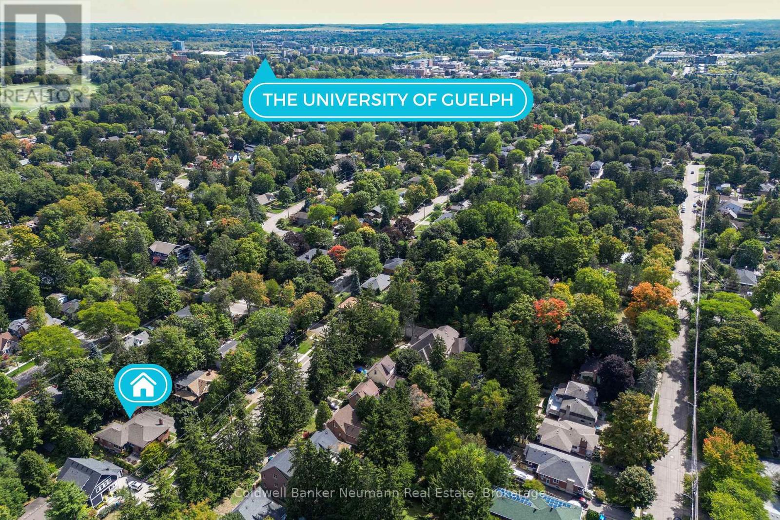 Lower - 18 Forest Hill Drive, Guelph, Ontario  N1G 2E3 - Photo 13 - X12402443