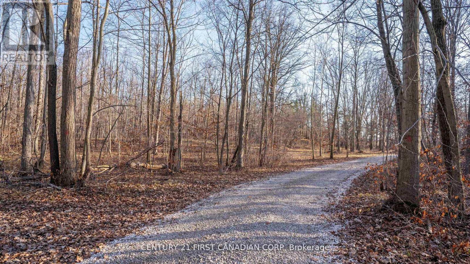 29709 Celtic Line S, Dutton/dunwich, Ontario  N0L 1J0 - Photo 10 - X12402458