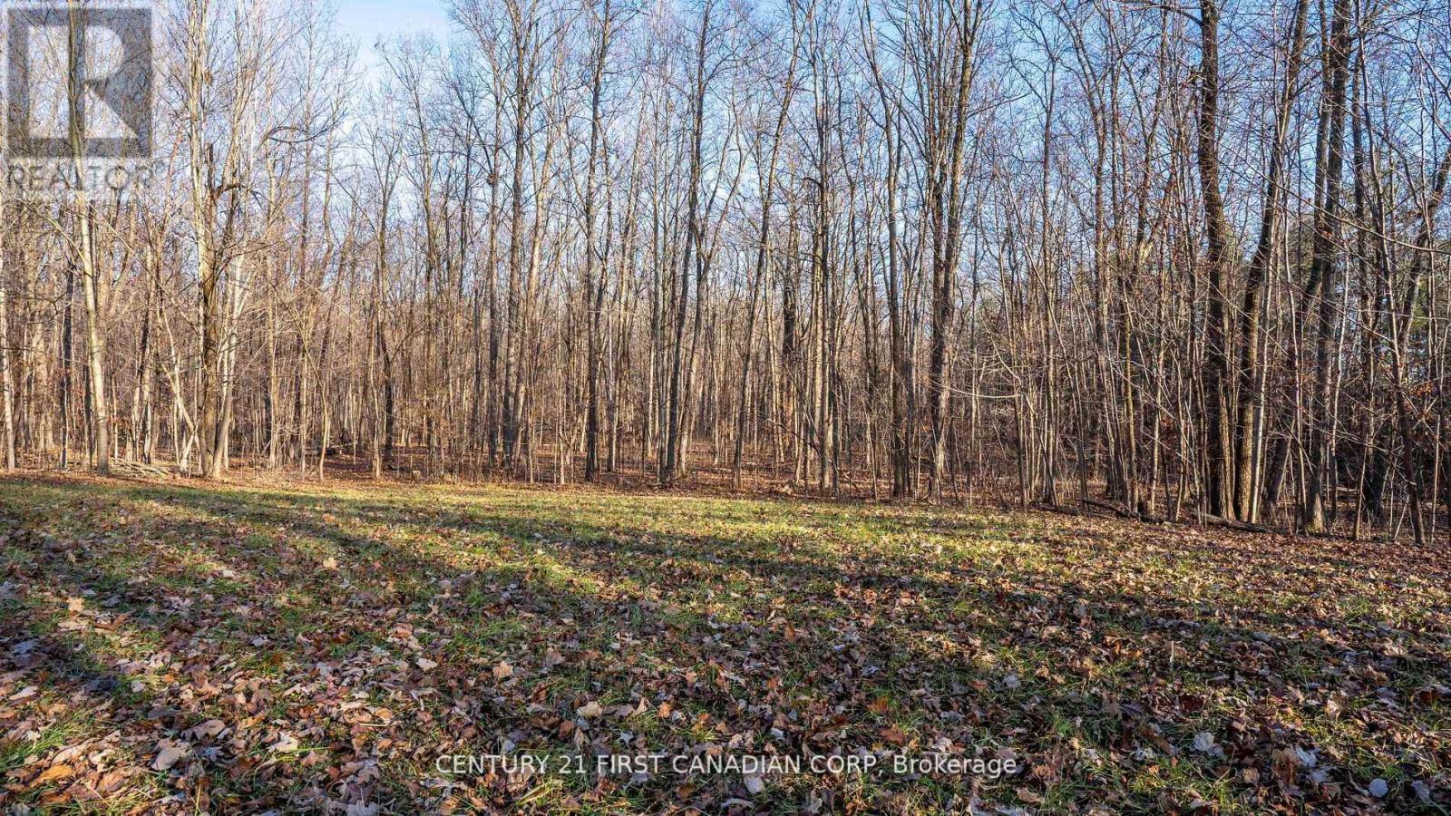 29709 Celtic Line S, Dutton/dunwich, Ontario  N0L 1J0 - Photo 11 - X12402458