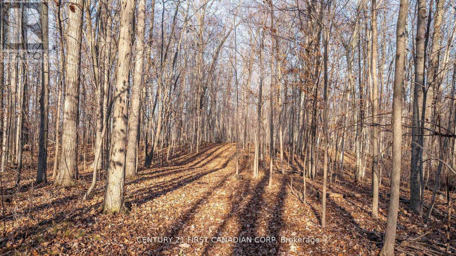 29709 Celtic Line S, Dutton/dunwich, Ontario  N0L 1J0 - Photo 16 - X12402458