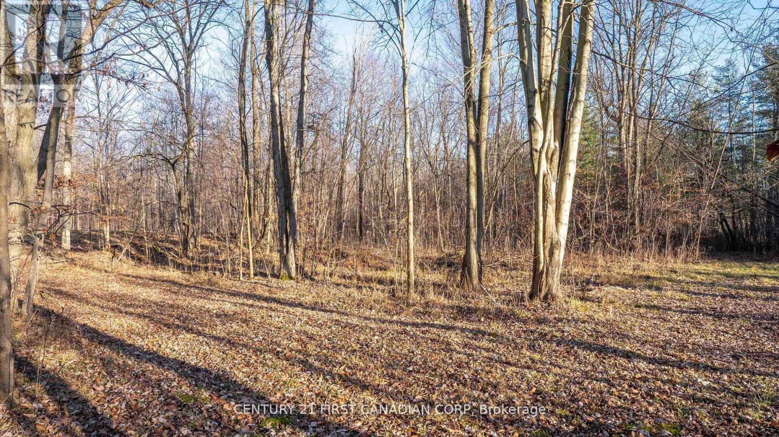 29709 Celtic Line S, Dutton/dunwich, Ontario  N0L 1J0 - Photo 17 - X12402458