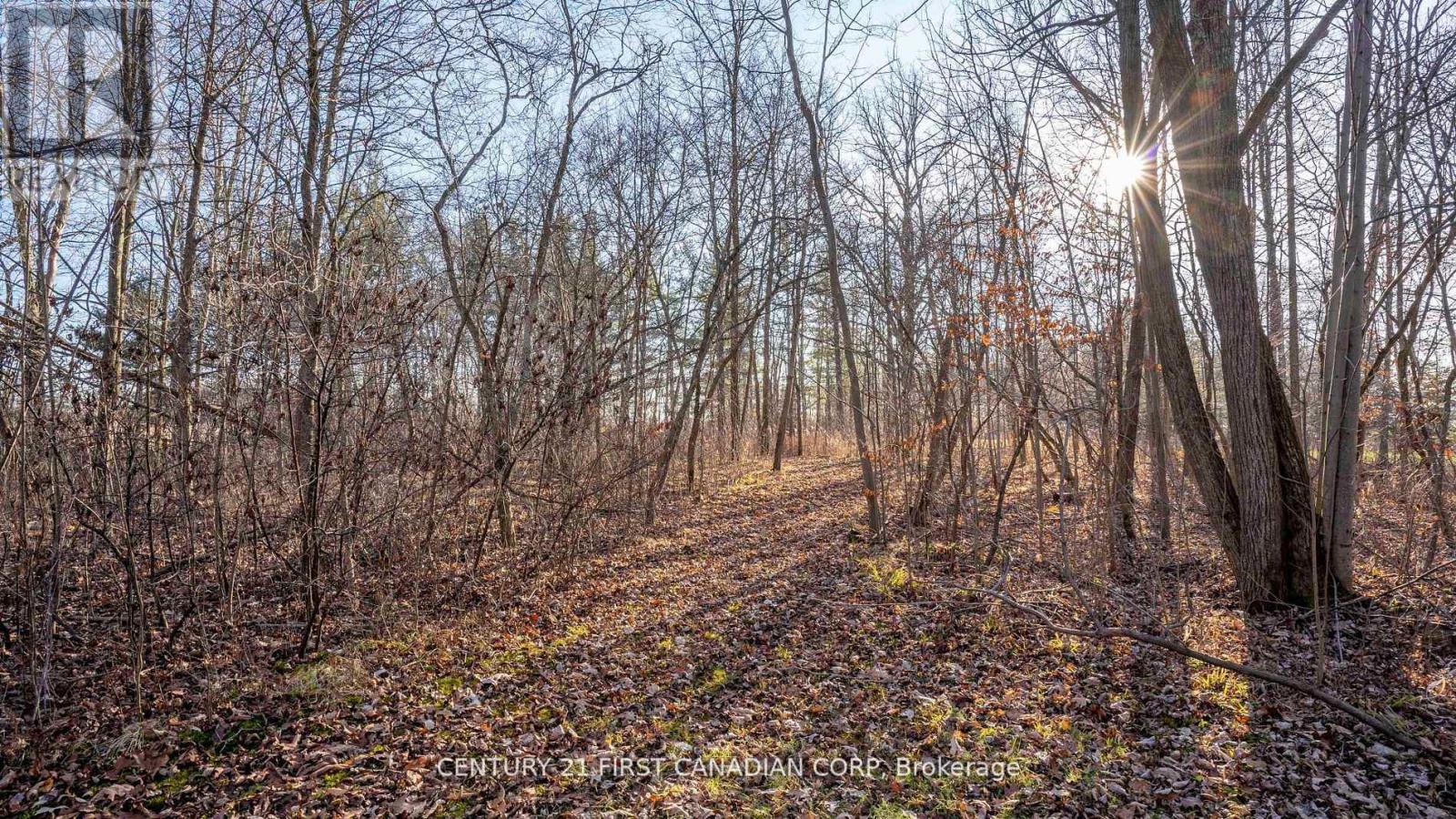 29709 Celtic Line S, Dutton/dunwich, Ontario  N0L 1J0 - Photo 18 - X12402458
