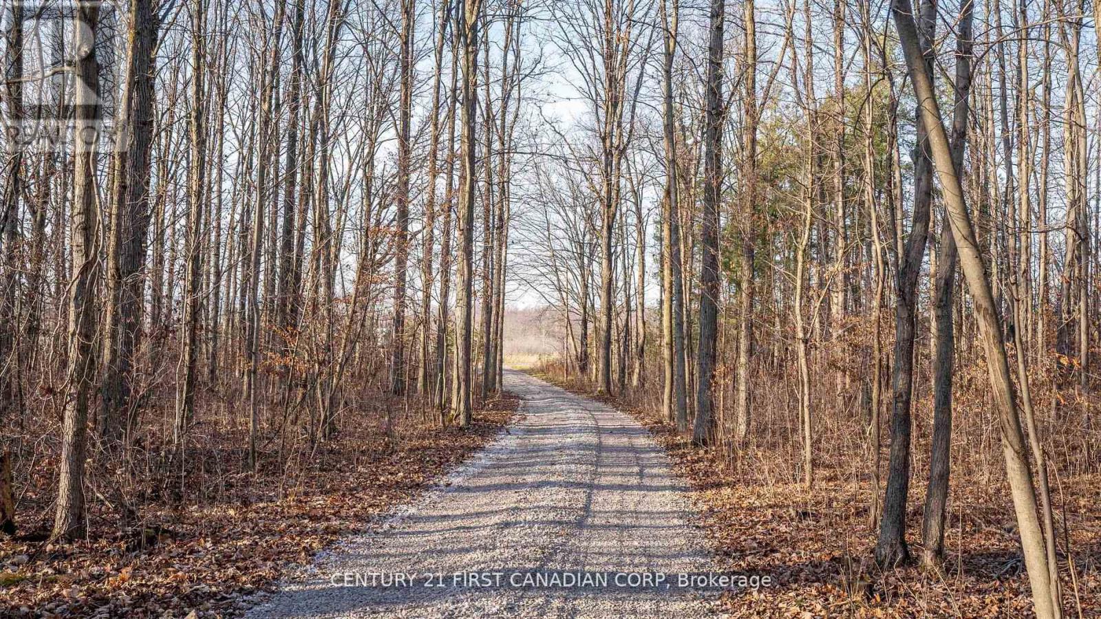 29709 Celtic Line S, Dutton/dunwich, Ontario  N0L 1J0 - Photo 5 - X12402458
