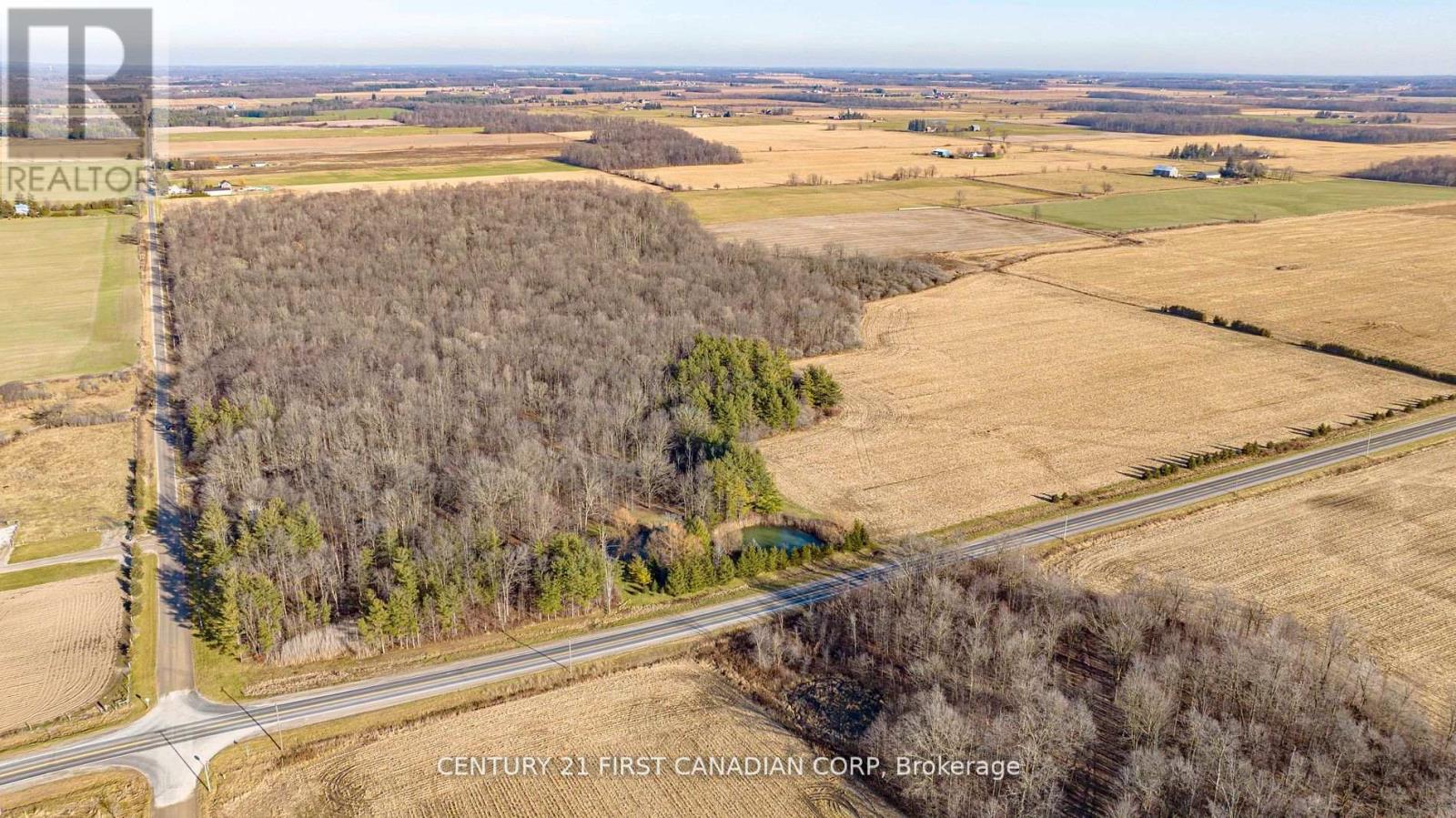 29709 Celtic Line S, Dutton/dunwich, Ontario  N0L 1J0 - Photo 9 - X12402458