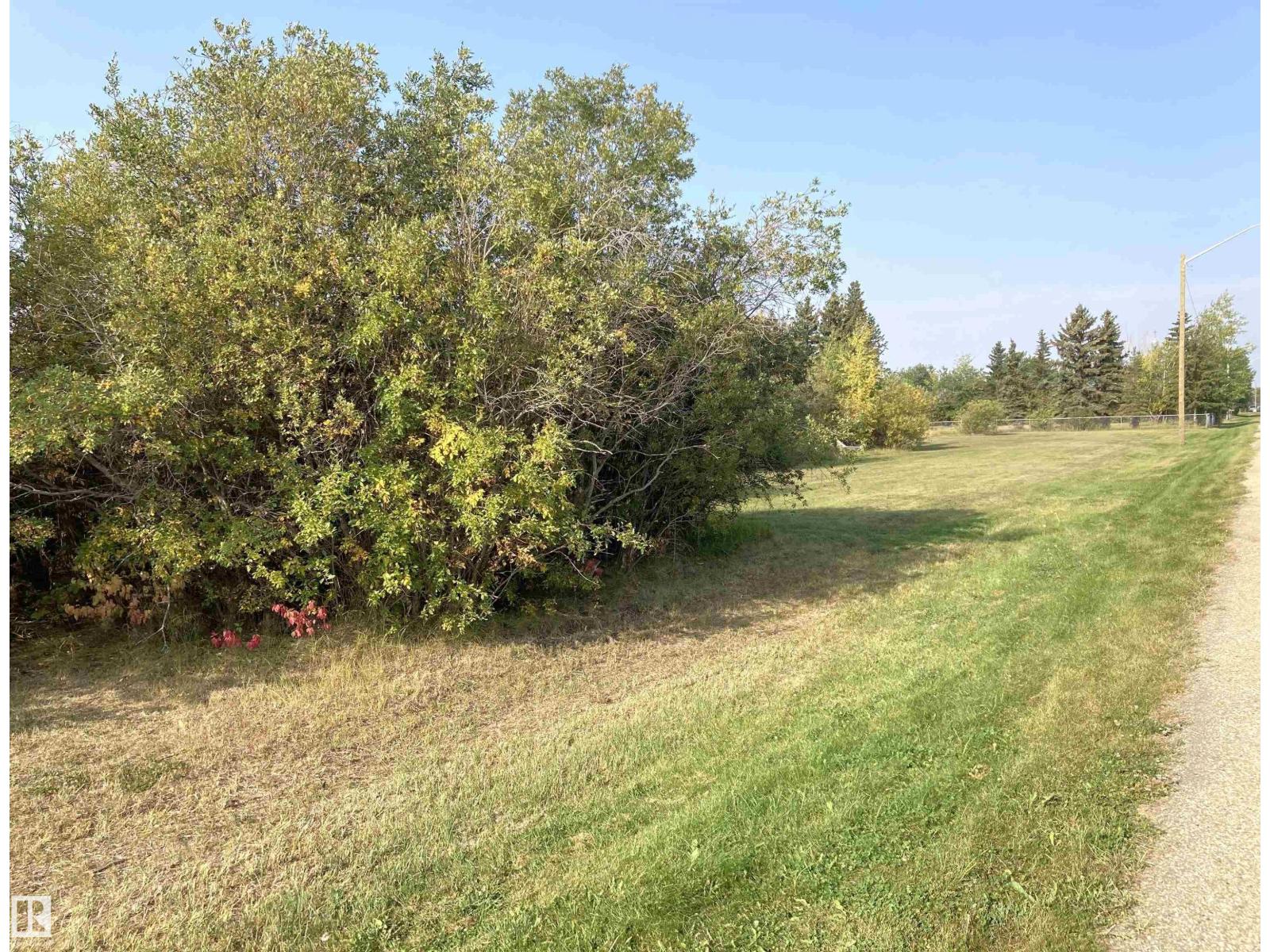 Township 540 Highway 834, Chipman, Alberta  T0B 0W0 - Photo 3 - E4457727