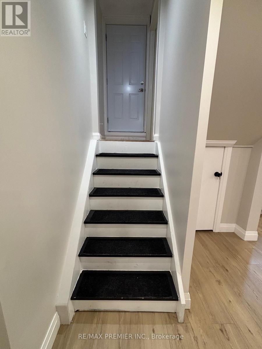 Basement - 106 Bologna Road, Vaughan, Ontario  L4H 2M7 - Photo 4 - N12384971