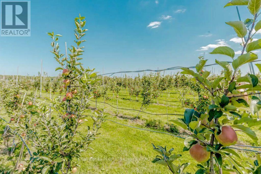 475 Alway Road, Grimsby, Ontario  L3S 4R4 - Photo 29 - X12375990