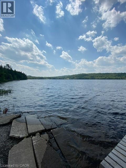 170 Odorizzi Road, Golden Valley, Ontario  P0H 1N0 - Photo 25 - 40752344