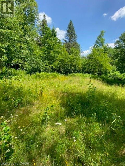 170 Odorizzi Road, Golden Valley, Ontario  P0H 1N0 - Photo 20 - 40752344
