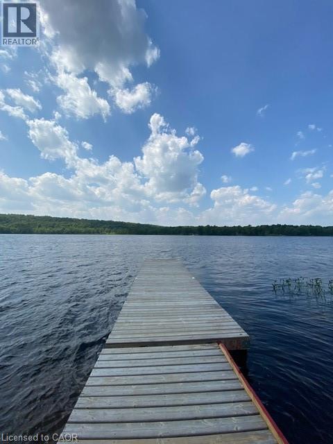 170 Odorizzi Road, Golden Valley, Ontario  P0H 1N0 - Photo 28 - 40752344