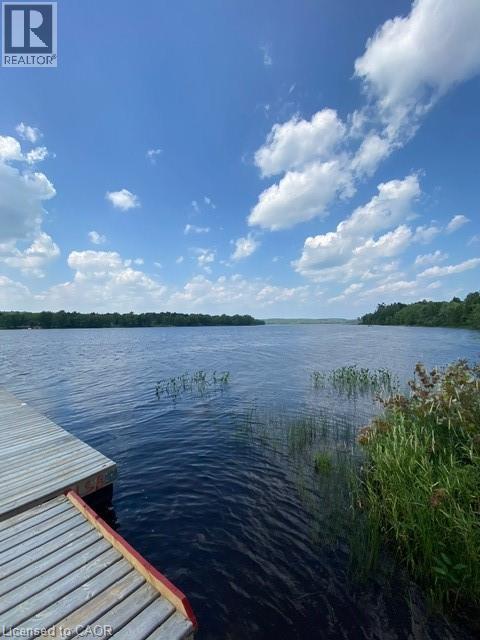 170 Odorizzi Road, Golden Valley, Ontario  P0H 1N0 - Photo 27 - 40752344