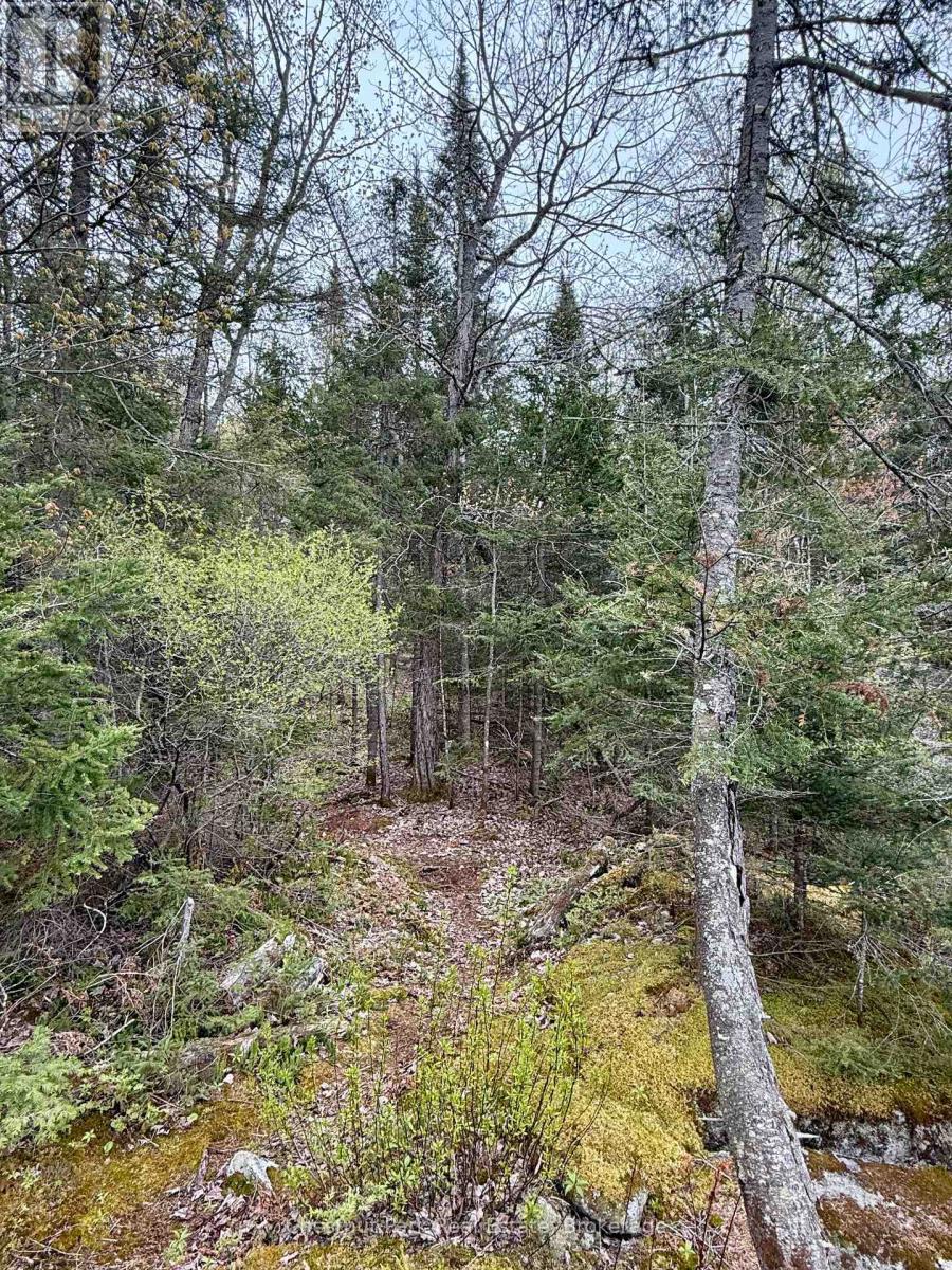 0 King Lake, Machar, Ontario  P0A 1X0 - Photo 20 - X12172543