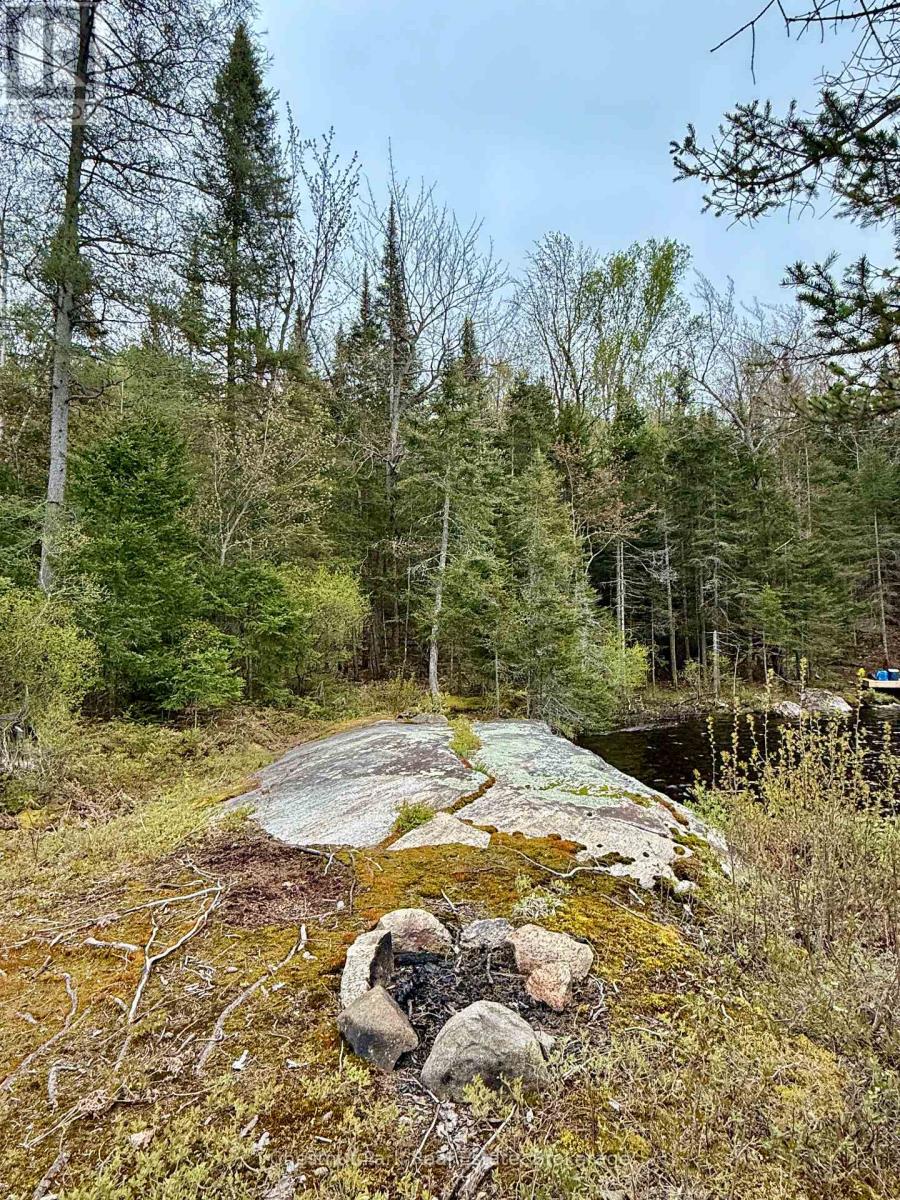 0 King Lake, Machar, Ontario  P0A 1X0 - Photo 18 - X12172543