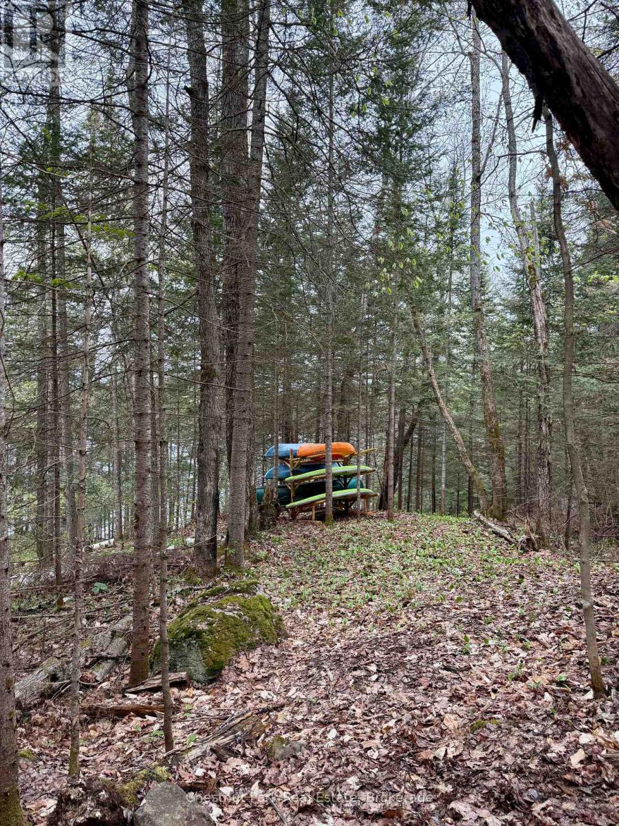 0 King Lake, Machar, Ontario  P0A 1X0 - Photo 40 - X12172543