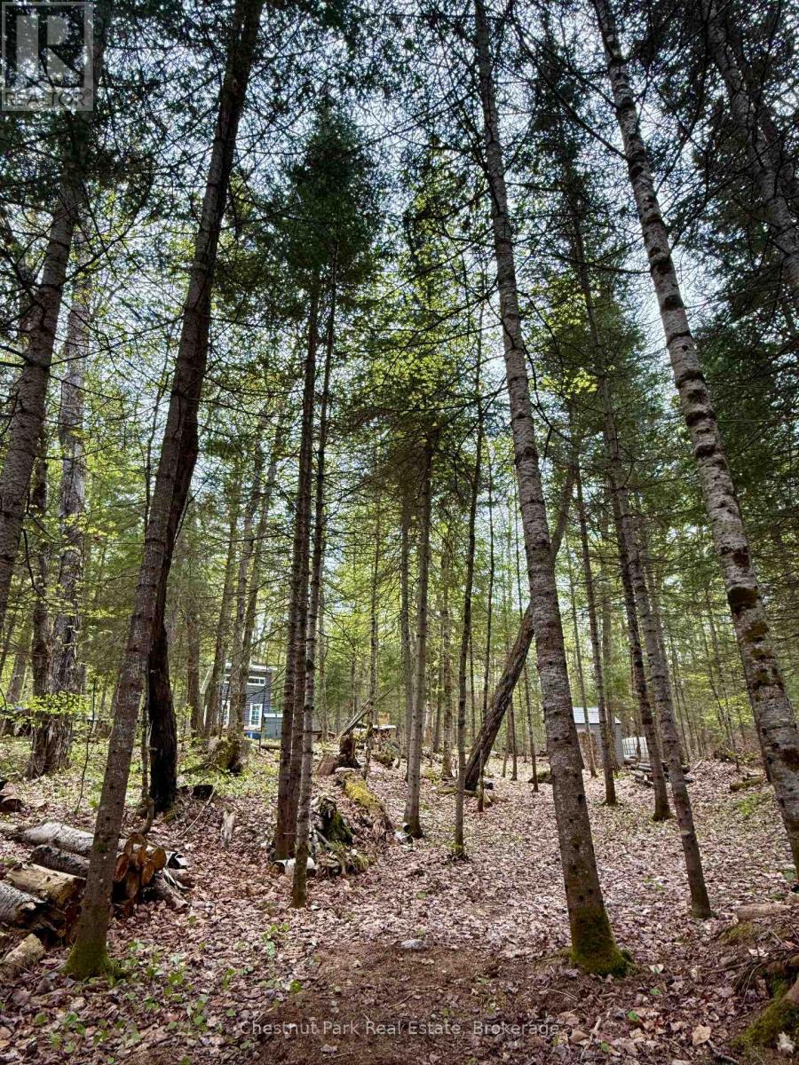 0 King Lake, Machar, Ontario  P0A 1X0 - Photo 39 - X12172543