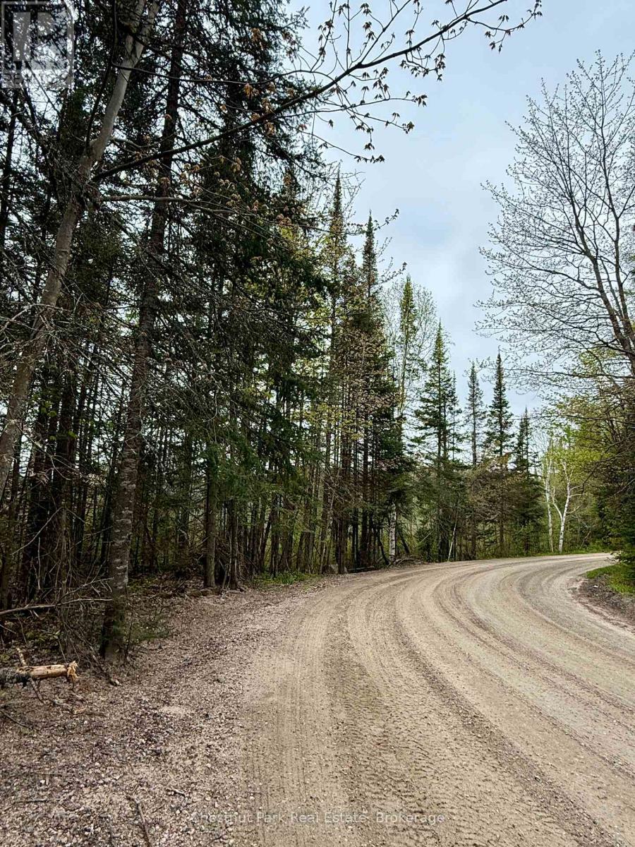 0 King Lake, Machar, Ontario  P0A 1X0 - Photo 6 - X12172543